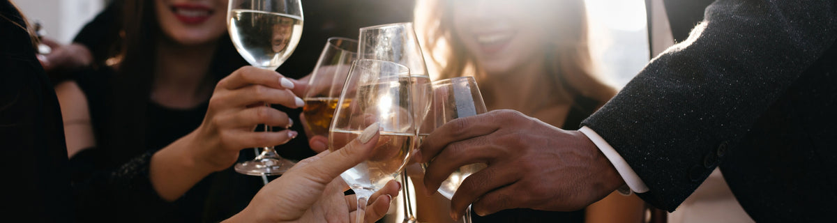 A group of friends toasting with glasses of wine and champagne in the sunlight, enjoying a celebration.