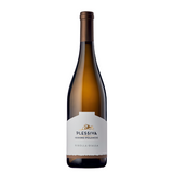 Plessiva Isidoro Polencic - 2024 Ribolla Gialla DOC Collio