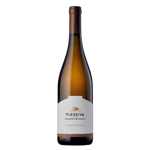 Plessiva Isidoro Polencic -Pinot Grigio DOC 2024